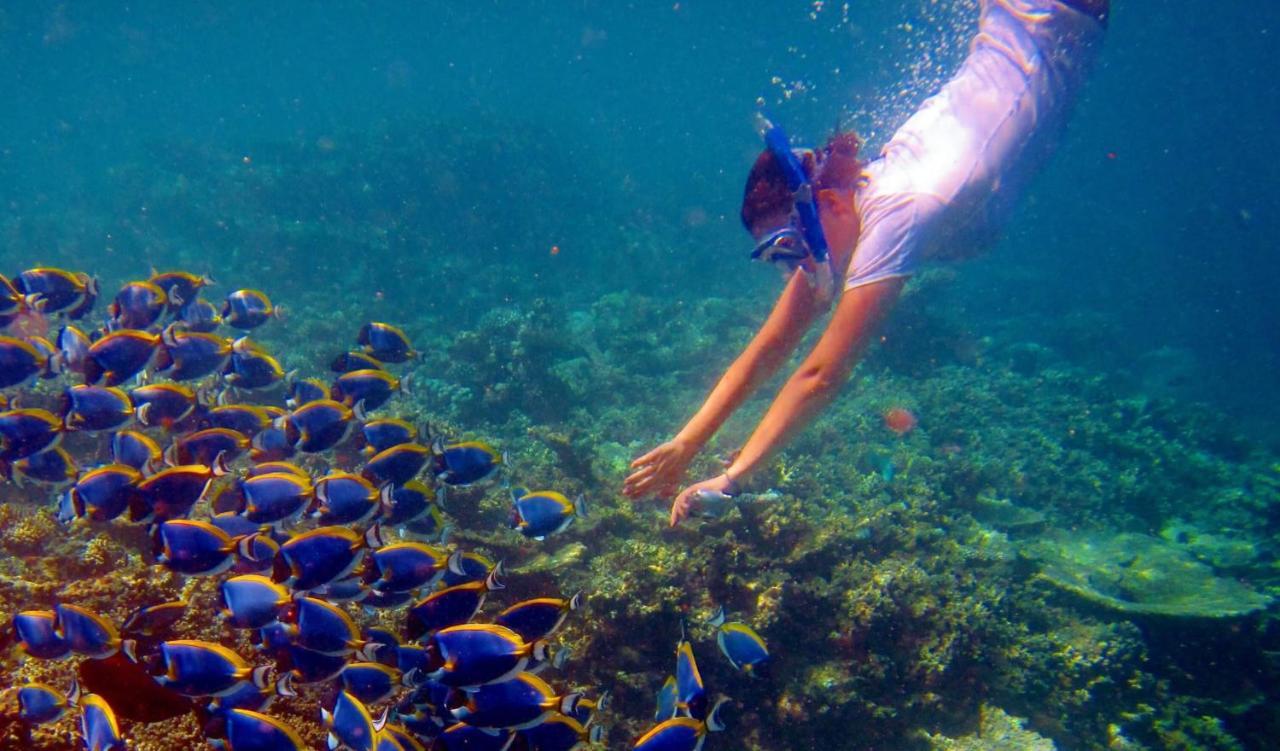 Palm Gate Maldives Hotell Thulusdhoo Eksteriør bilde